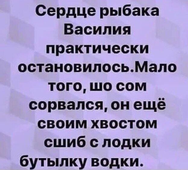 Сердце рыбака Василия практически остановилосьМало того шо сом сорвался он ещё своим хвостом сшиб с лодки бутылку водки