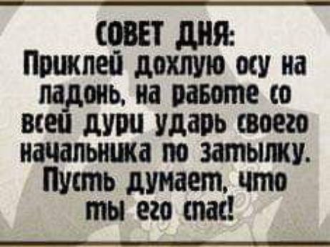 СОВЕТ дий Ппцкпеп дохлую от на ладонь на павоте со все душ удаль своего начальника по затылку Пусть думает что ты его таи