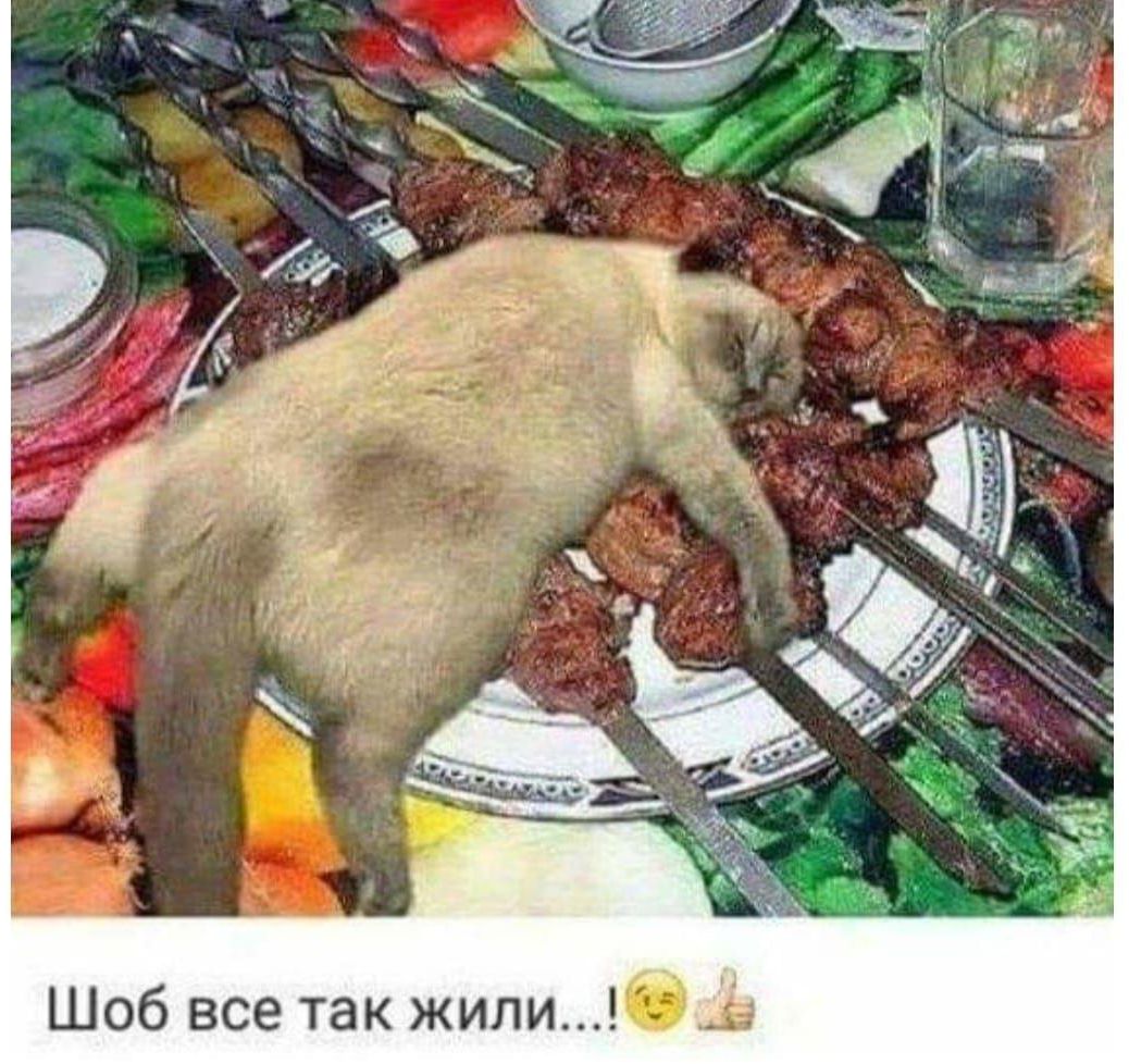 Шоб все так жипи_в