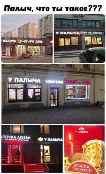 Палыч что ты такое им