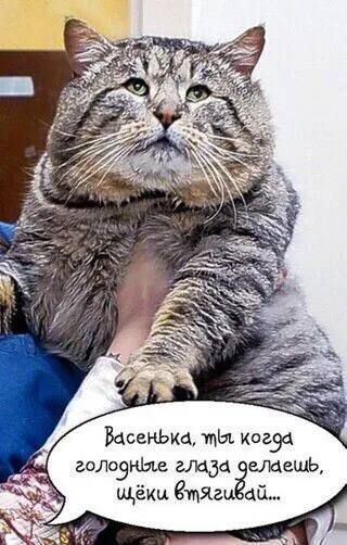ВцсенЬкц ты когэа головнЬье ащТАЁещешь щёш Зирка ай