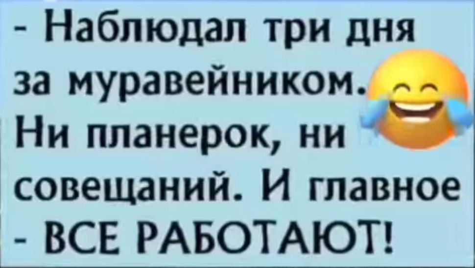 Наблюдал три дня за муравейником Ни планерок ни совещаний И главное ВСЕ РАБОТАЮТ