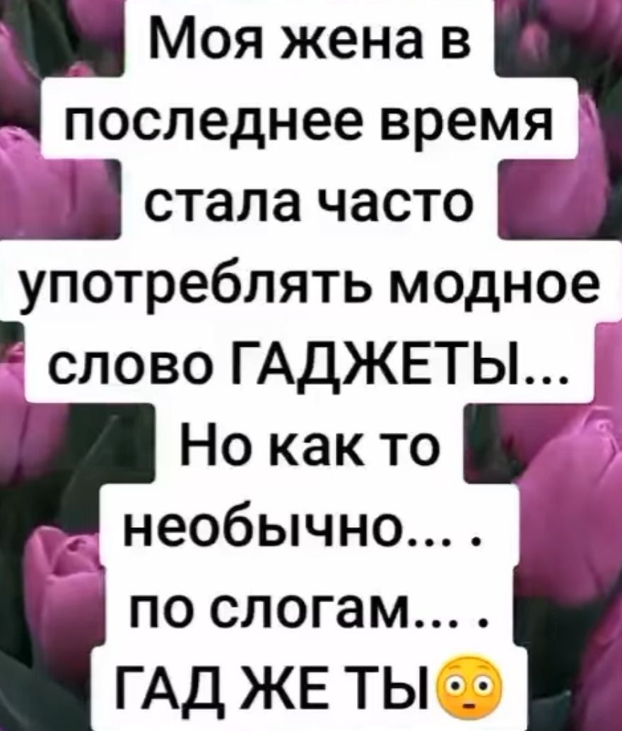 Моя жена в последнее время Ш стала часто употреблять модное слово ГАДЖЕТЫ Но как то необычно по слогам ГАД ЖЕ ТЫ