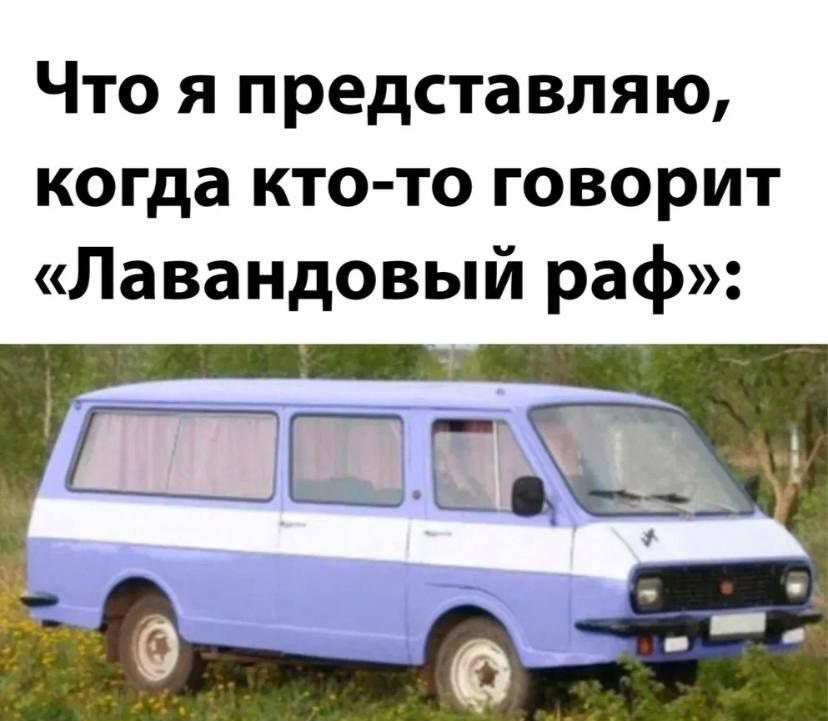 Что я представляю когда кто то говорит Лавандовый раф