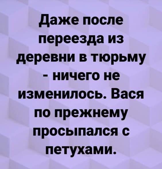 даже после переезда из деревни в тюрьму ничего не изменилось Вася по прежнему просыпался с петухами