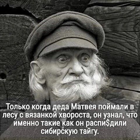 Только когда 57еда Матвея пойм лесу связанкой хвороста он узналучто именно такиеКвк он распидипи53 сибирёкую тайгу