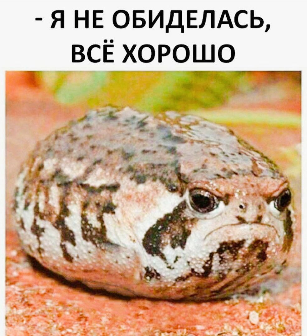 я не овидвлдсь ВСЁ хорошо