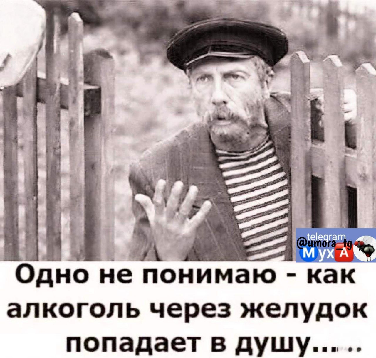 Одно не понимаю как алкоголь через желудок попадает в душу