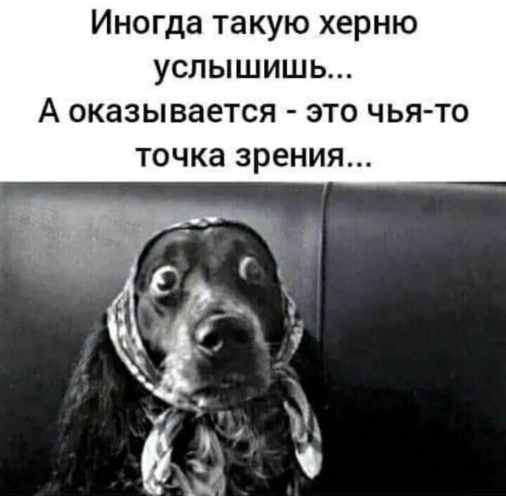 Иног такую херню услышишь А оказы вается это чья то точка зрения