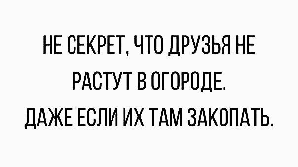 НЕ СЕКРЕТ ЧТО ДРУЗЬЯ НЕ РАСТУТ В ОГОРОДЕ дАЖЕ ЕСЛИ ИХ ТАМ ЗАКОПАТЬ