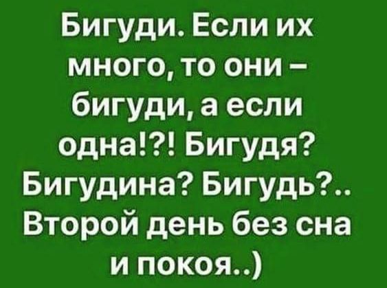 Бигуди Если их много то они бигуди а если одна Бигудя Бигудина Бигудь Второй день без сна и покоя