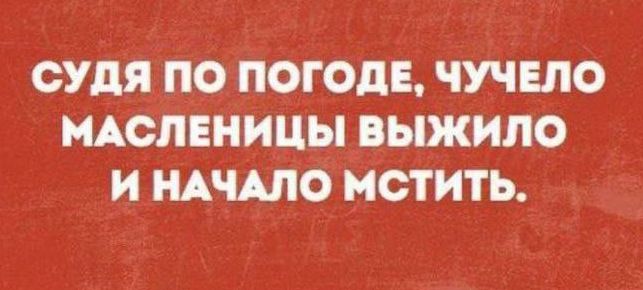 ФУМ ПО ПОГОдЕ ЧУЧЕЛО МАСЛЕНИЦЫ выжило И НАЧАЛО МСТИТЬ