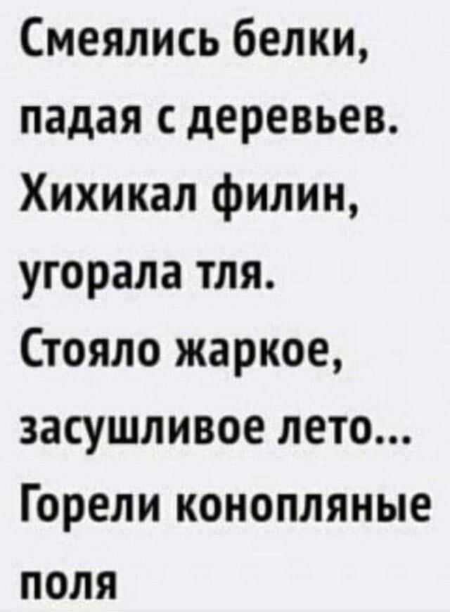 Смеялись белки падая деревьев Хихикал филин угорала тля Стояло жаркое засушливое лето Горели конопляные поля