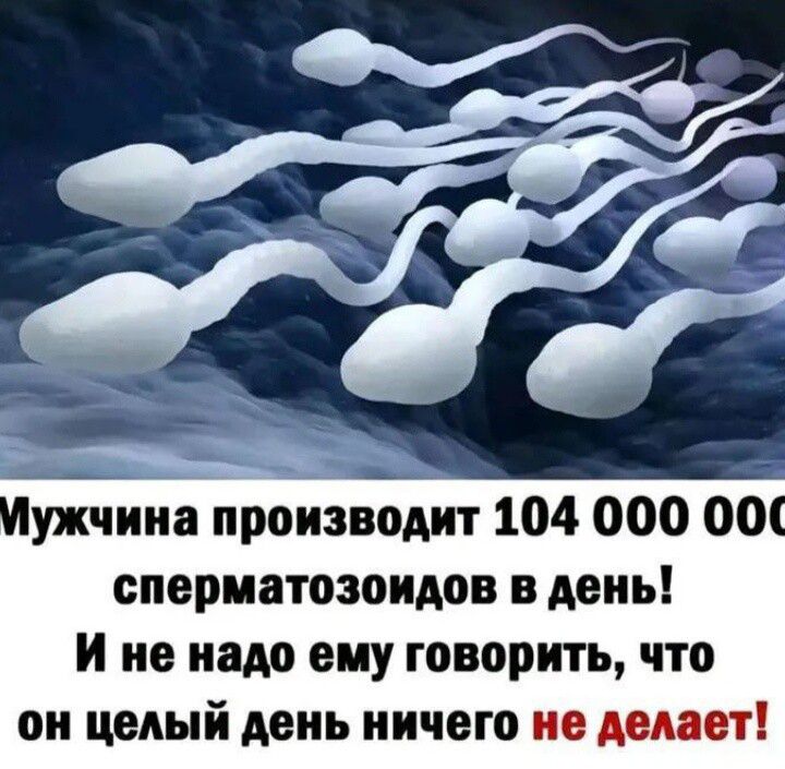 Иужчииа производит 104 000 00 сперматозоидов в день и не надо еиу говорить что он целый день ничего но шап