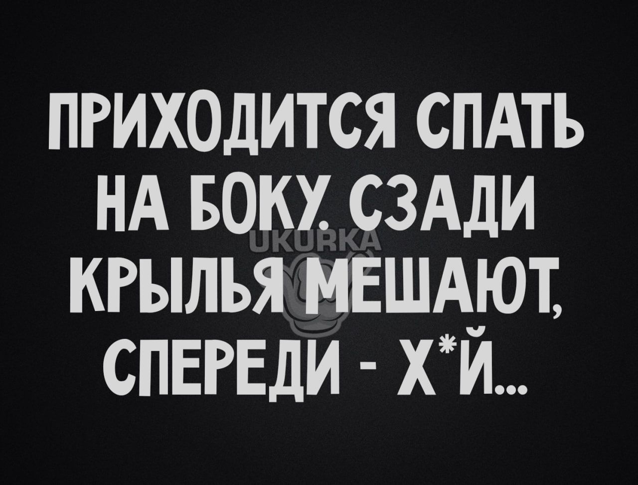 пгихолится спдть нд БОЮ сздди кгылья мвшд_ют спвгвди хи