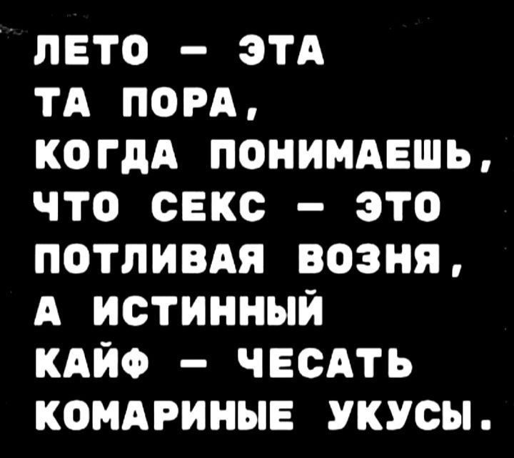 ЛЕТО ЭТА ТА ПОРА КОГДА ПОНИМАЕШЬ ЧТО ОЕКО ЭТО ПОТПИВАЯ ВОЗНЯ А ИОТИННЫЙ КАЙФ ЧЕОАТЬ КОМАРИНЫЕ УКУСЫ