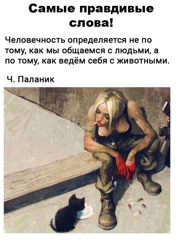 Самые правдивые слова человечность определяется не по ТОМУ как МЫ общаемся С ЛЮДЬМИ в ПО ТВМУ как ведём себя 0 ЖИВОТНЫМИ Ч Паланик