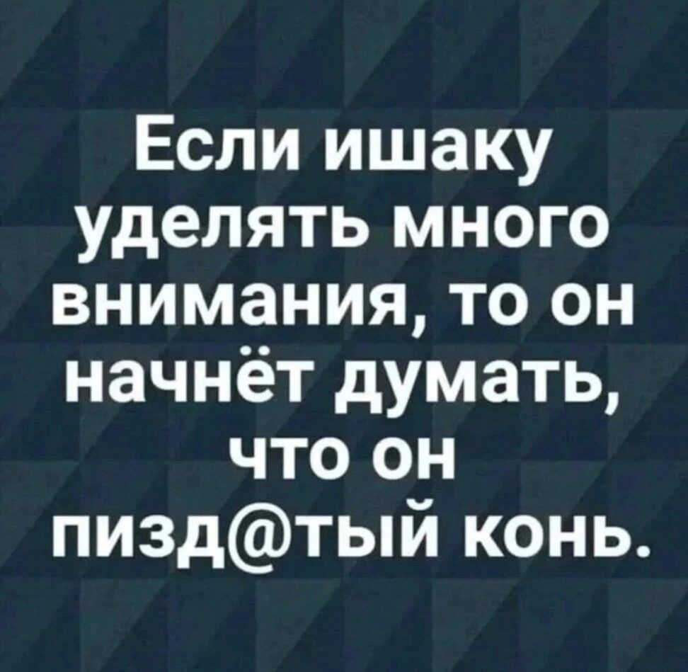 Если ишаку уделять много внимания то он начнёт думать что он пиздтый конь