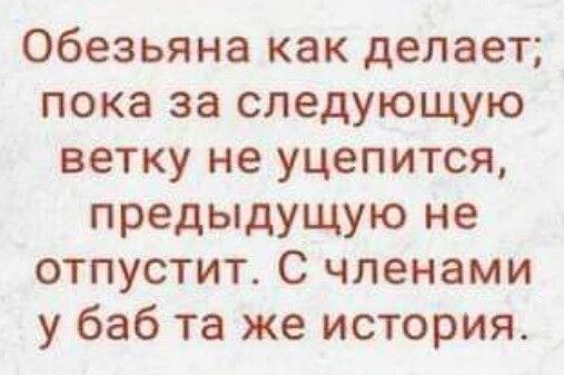 Обезьяна как делает пока за следующую ветку не уцепится предыдущую не отпустит С членами у баб та же история
