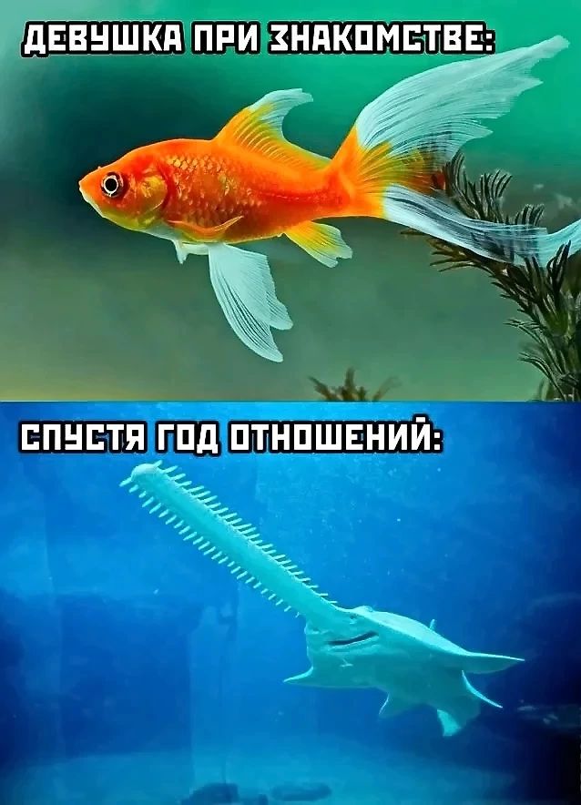 дЕВНШКП ПРИ ЗНАКПМЕЪПВЕ ЕПНЕТЯ ГПд ПТНПШЕНИЙ