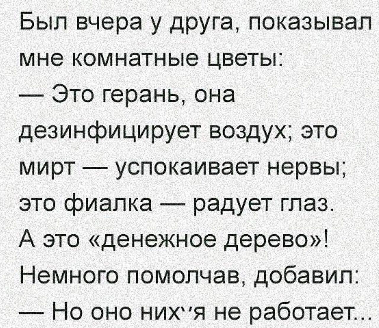 Был вчера у друга показывал мне комнатные цветы Это герань она дезинфицирует воздух это мирт успокаивает нервы зто фиалка радует глаз А это денежное дерево Немного помолчав добавил Но оно нихт не работает