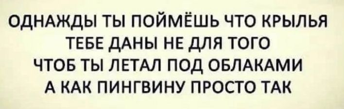 ОДНАЖДЫ ТЫ ПОЙМЁШЬ ЧТО КРЫЛЬЯ ТЕБЕ дАНЫ НЕ ДЛЯ ТОГО ЧТОБ ТЫ ЛЕТАЛ ПОД ОБЛАКАМИ А КАК ПИНГВИНУ ПРОСТО ТАК