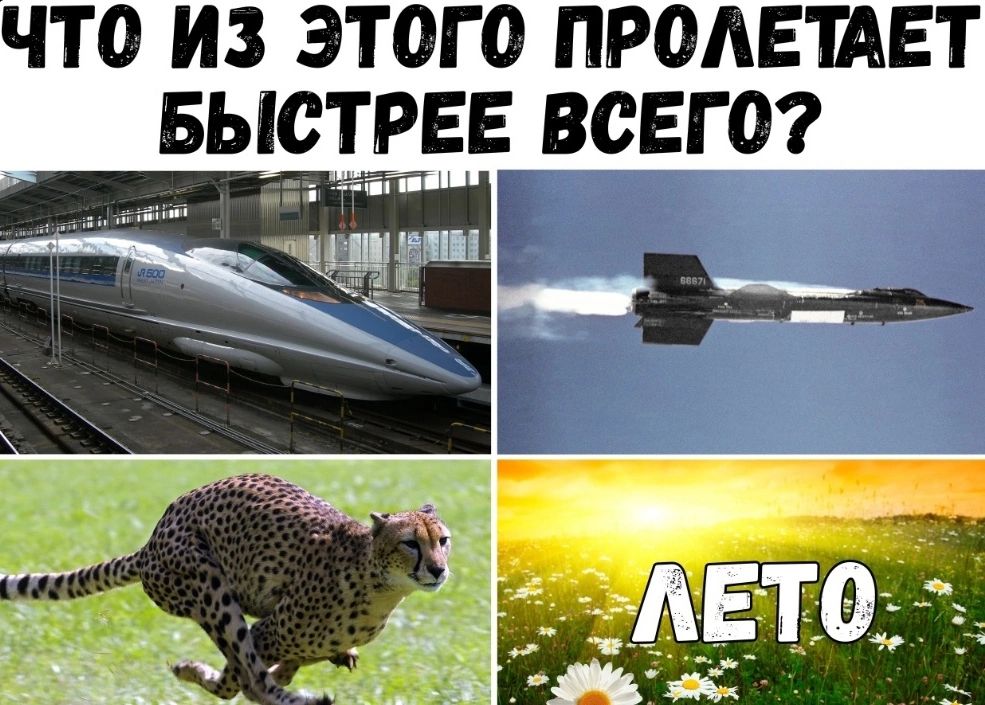 ЧТО ИЗ ЭТОГО ПРОАЕШЕТ _ БЫОТЕЕ ВСЕГО