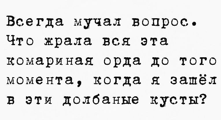 Всегда мучал вопрос Что жрала вся эта комариная орда до того момента когда зашёл в эти долбаные кусты