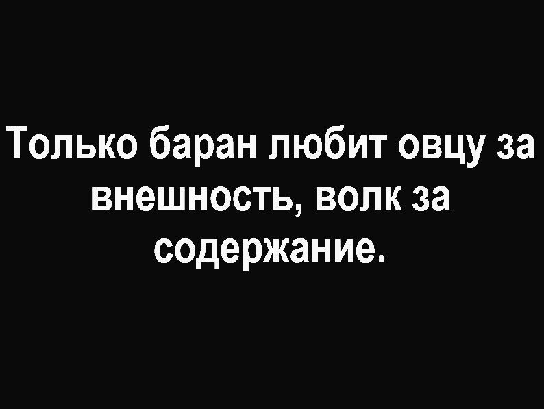 Только баран любит овцу за внешность волк за содержание