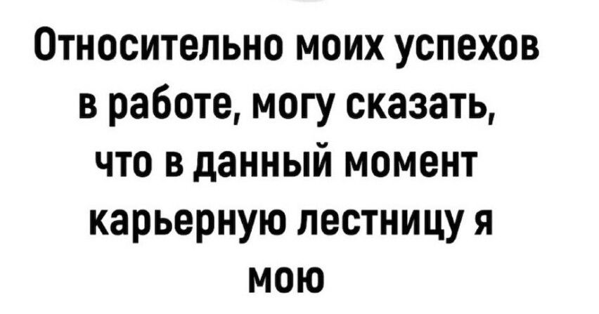 Относительно моих успехов в работе могу сказать что вданный момент карьерную лестницу я мою