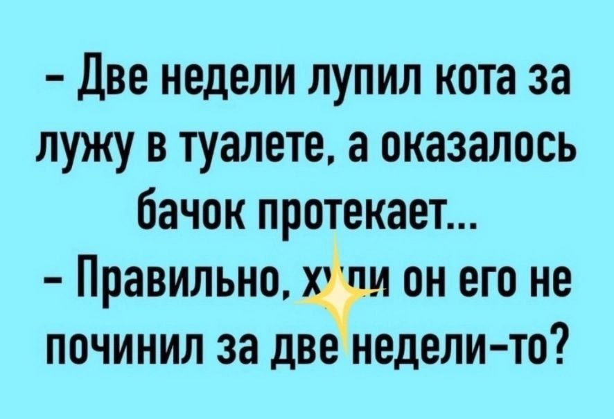 ДВЕ НЕДЕЛИ ЛУПИЛ КОТЗ за ЛУЖУ В ТУЗЛЕТЕ а оказалось бачок ПРОТЕКЗЕТ Правильно И ОН ЕГО НЕ ППЧИНИЛ 38 ДВЕ НЕДЕЛИ ТО