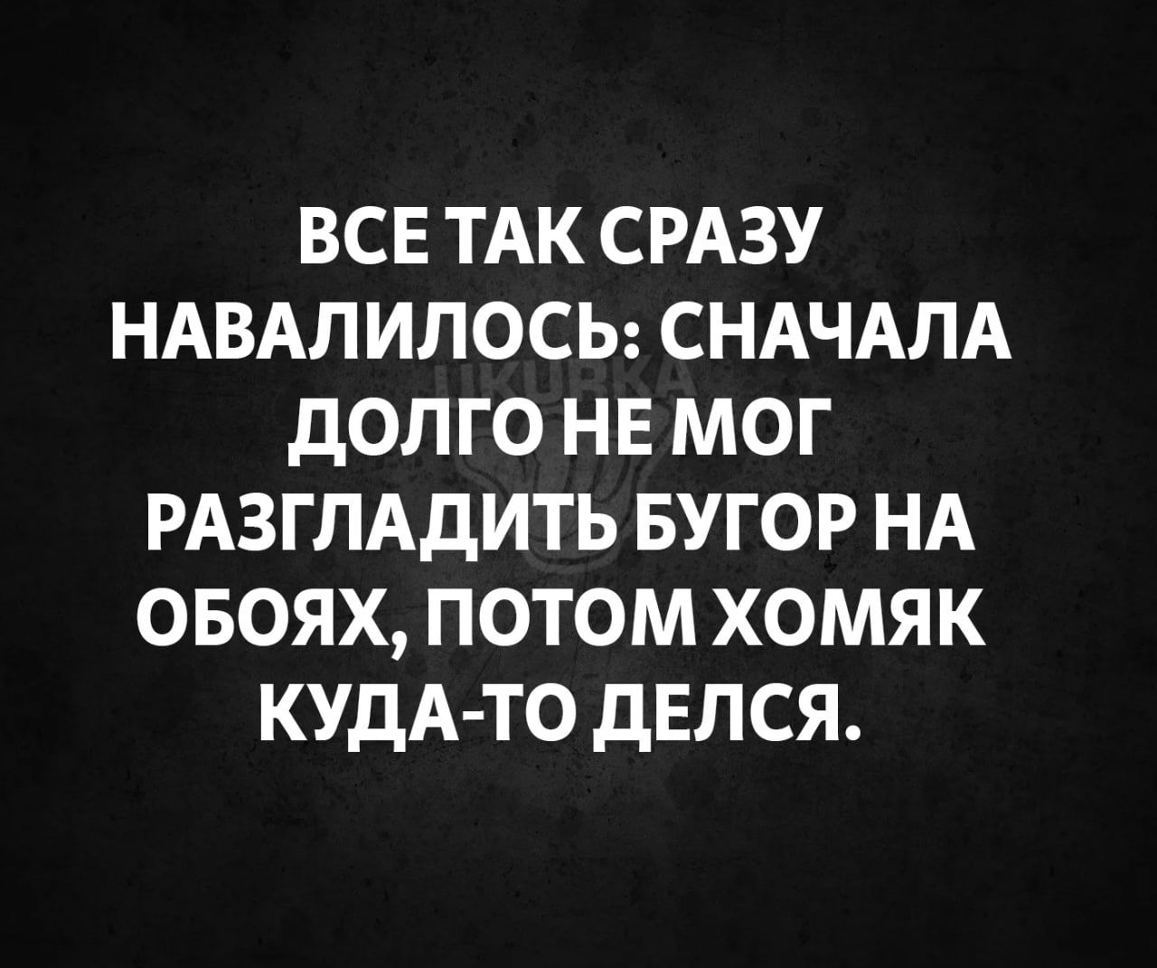 ВСЕ ТАК СРАЗУ НАВАЛИЛОСЬ СНАЧАЛА ДОЛГО НЕ МОГ РАЗГЛАДИТЬ БУГОР НА ОБОЯХ ПОТОМ ХОМЯК КУДА ТО ДЕЛСЯ