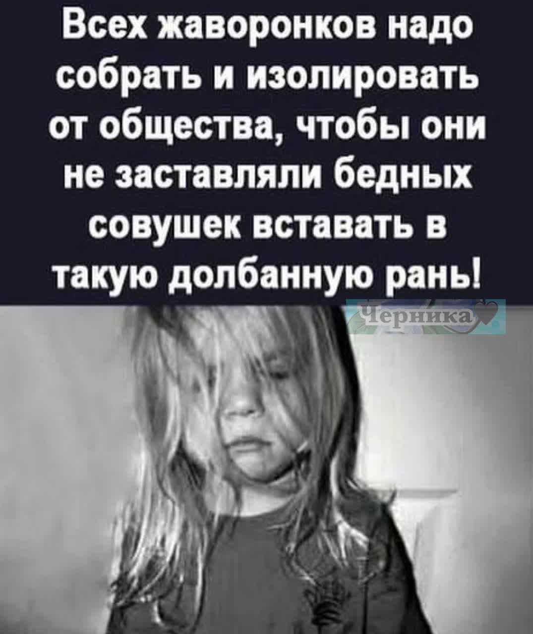 Всех жаворонков надо собрать и изолировать от общества чтобы они не заставляли бедных совушек вставать в такую долбанную рань