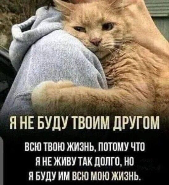 ЯНЕ БУДУ ТВОИМ ДРУГОМ ВСЮ ТВОЮ ЖИЗНЬ ПОТОМУ ЧТО Я НЕ ЖИВУ ТАК ДОЛГО НО Я БУДУ ИМ ВСЮ МОЮ ЖИЗНЬ