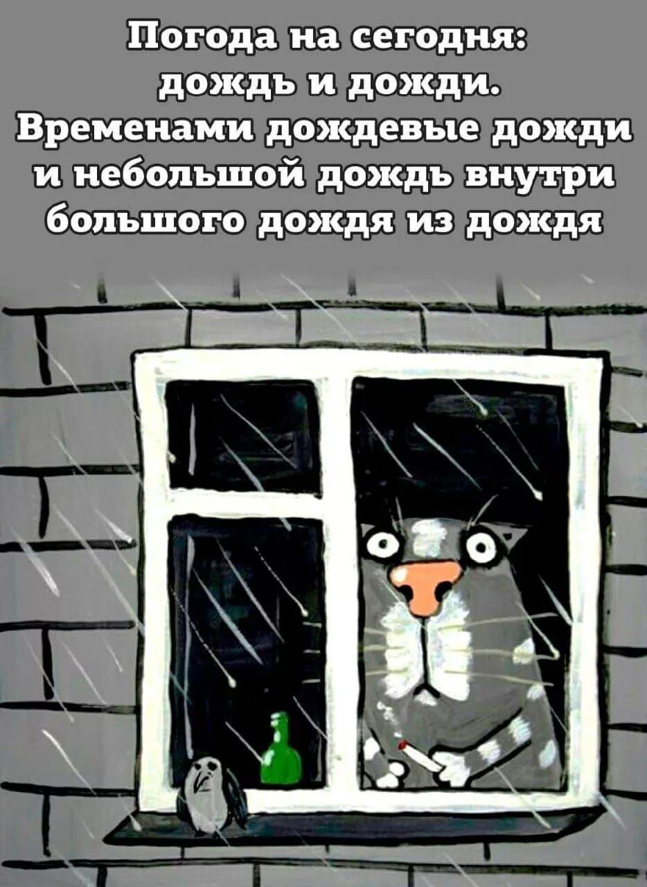 Погода на сегодня дождь и дожди и небольшой дождь внутри большого дождя издождя