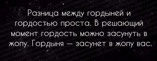 Разница между гордыней и гордостью проста В решающий момент гордость можно засунуть в жопу Гордыня засунет в жопу вас