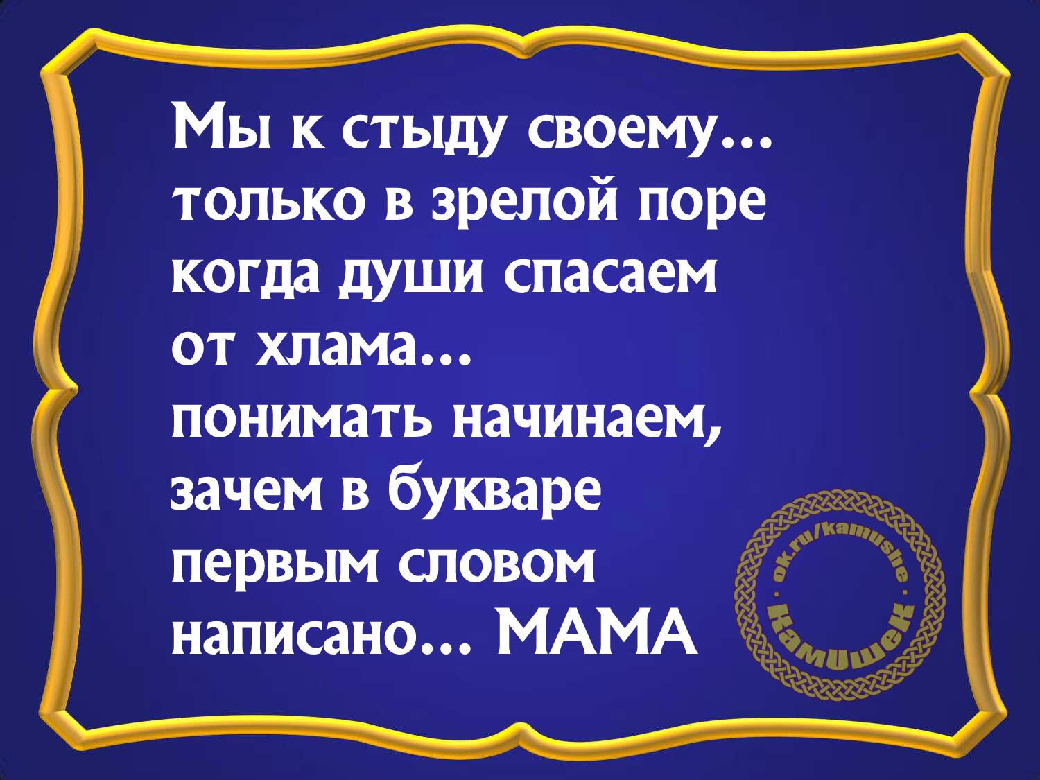 Мы к стыду своему только в зрелой поре когда души спасаем от хлама понимать начинаем зачем в букваре первым словом написано МАМА