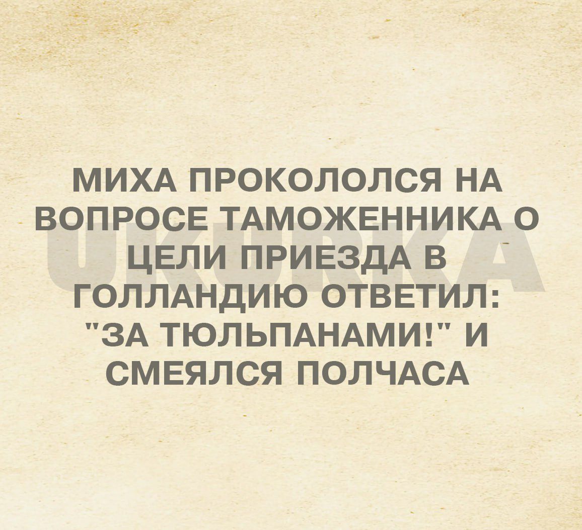 МИХА ПРОКОЛОЛСЯ НА ВОПРОСЕ ТАМОЖЕННИКА О ЦЕЛИ ПРИЕЗДА В ГОЛЛАНДИЮ ОТВЕТИЛ ЗА ТЮЛЬПАНАМИ И СМЕЯЛСЯ ПОЛЧАСА