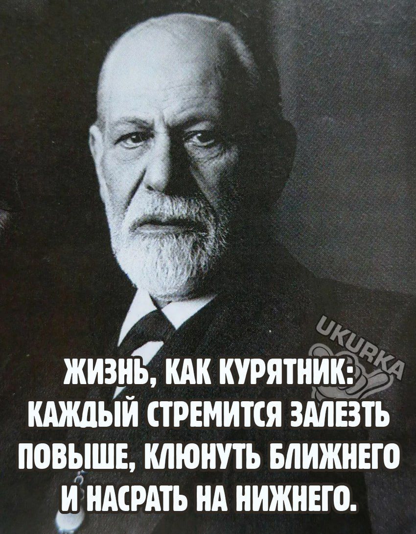 жизнъ КАК курятни КАЖДЫЙ СТРЕМИТСЯ ЗАЛЕЗТЬ ПОВЫШЕ КЛЮНУТЬ БЛИЖНЕГО днмрдть НА НИЖНЕГО