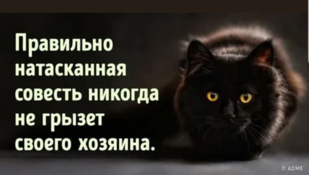 Правильно Гча натасканная а совесть никогда не грызет своего хозяина ооолеаноинннннненни ЛЕНЕ