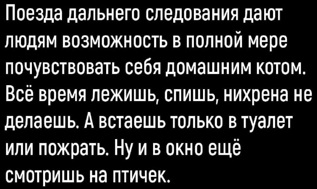 Поезда дальнего следования дают людям возможность в полной мере почувствовать себя домашним котом Всё время лежишь спишь нихрена не делаешь А встаешь только в туалет или пожрать Ну и в окно ещё смотришь на птичек