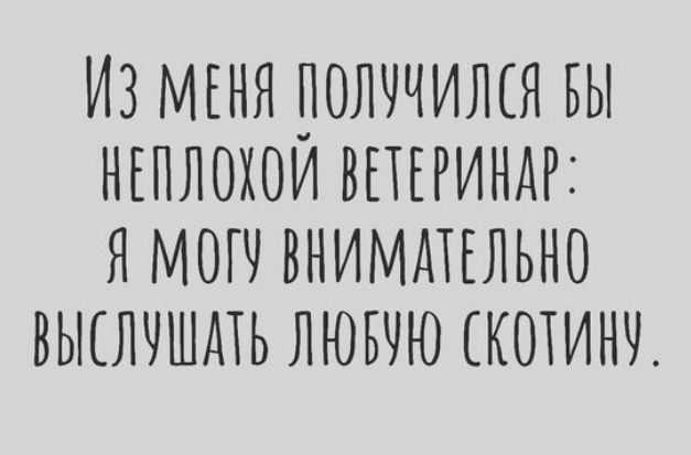 ИЗ МЕНЯ ПОЛУЧИЛСЯ БЫ НЕПЛОХОЙ ВЕТЕРИНАР Я МОГУ ВНИМАТЕЛЬНО ВЫСЛУШАТЬ ЛЮБУЮ СКОТИМУ