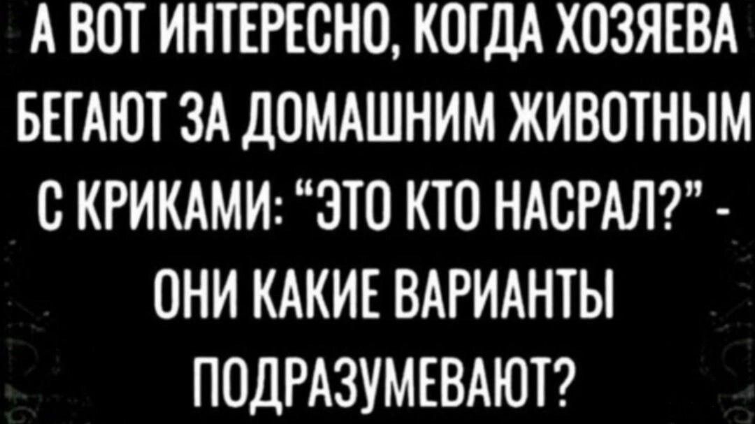 АВОТ ИНТЕРЕСНО КОГДА ХОЗЯЕВА БЕГАЮТ ЗА ДОМАШНИМ ЖИВОТНЫМ С КРИКАМИ ЭТО КТО НАСРАЛ ОНИ КАКИЕ ВАРИАНТЫ ПОДРАЗУМЕВАЮТ