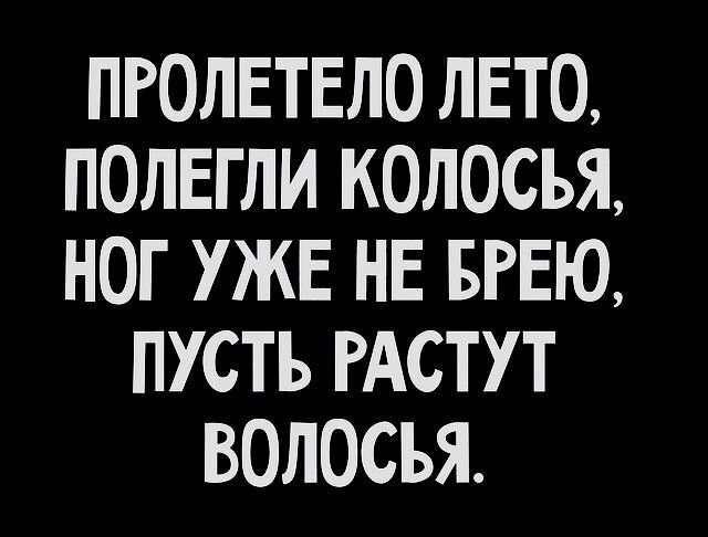 ПРОЛЕТЕЛО ЛЕТО ПОЛЕГЛИ КОЛОСЬЯ НОГ УЖЕ НЕ БРЕЮ ПУСТЬ РАСТУТ ВОЛОСЬЯ