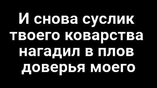 И снова суслик твоего коварства нагадил в плов доверья моего