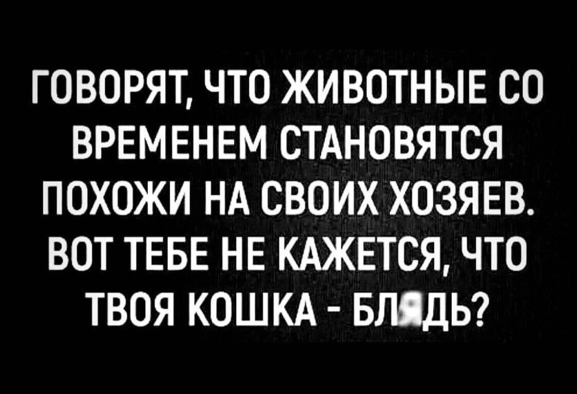 ГОВОРЯТ ЧТО ЖИВОТНЫЕ СО ВРЕМЕНЕМ СТАНОВЯТСЯ ПОХОЖИ НА СВОИХ ХОЗЯЕВ ВОТ ТЕБЕ НЕ КАЖЕТСЯ ЧТО ТВОЯ КОШКА БЛЯДЬ