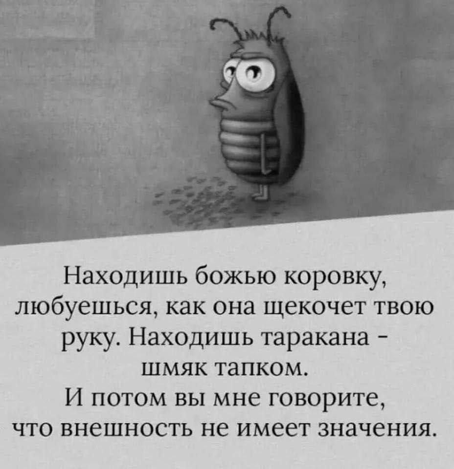 Находишь божью коровку любуешься как она щекочет твою руку Находишь таракана шмяк тапком И потом вы мне говорите что внешность не имеет значения