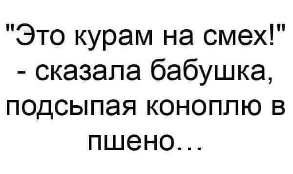 Это курам на смех сказала бабушка подсыпая коноплю в пшено