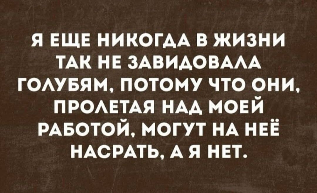 Я ЕЩЕ НИКОГДА В ЖИЗНИ ТАК НЕ ЗАВИДОВАЛА ГОЛУБЯМ ПОТОМУ ЧТО ОНИ ПРОЛЕТАЯ НАД МОЕЙ РАБОТОЙ МОГУТ НА НЕЁ НАСРАТЬ А Я НЕТ