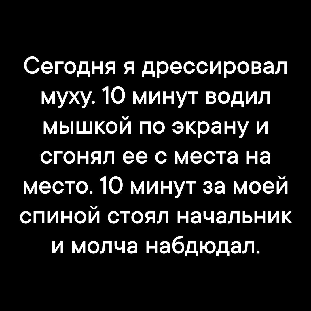 Сегодня я дрессировал муху 10 минут водил мышкой по экрану и сгонял ее с места на место 10 минут за моей спиной стоял начальник и молча набдюдал